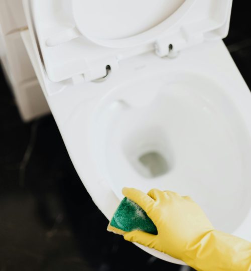 pexels karolina grabowska 4239072