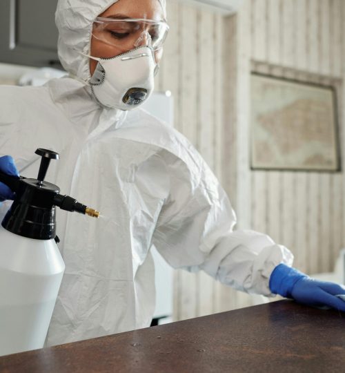 pexels matilda wormwood 4099468